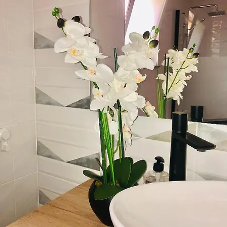 Appartement House Sofi , Ftvra. Canary Islands. *