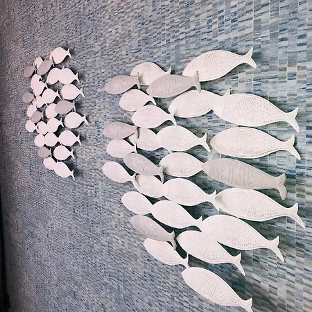 Lejlighed House Sofi , Ftvra. Canary Islands. *