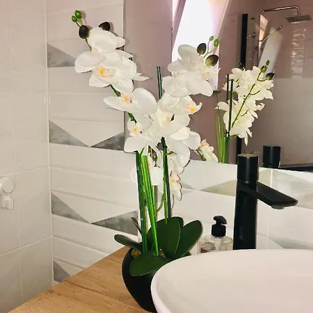 Apartmán House Sofi , Ftvra. Canary Islands. *